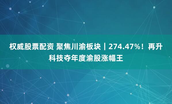 权威股票配资 聚焦川渝板块｜274.47%！再升科技夺年度渝股涨幅王