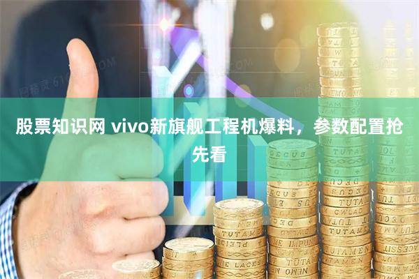 股票知识网 vivo新旗舰工程机爆料，参数配置抢先看