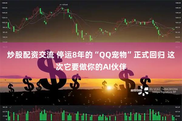 炒股配资交流 停运8年的“QQ宠物”正式回归 这次它要做你的AI伙伴